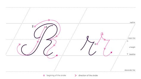 How to Draw Cursive R and Why It Resembles a Dancing Swan