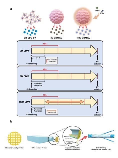  Vahlkampfia!  A Microscopic Master of Cellular Transformation Lives Among Us